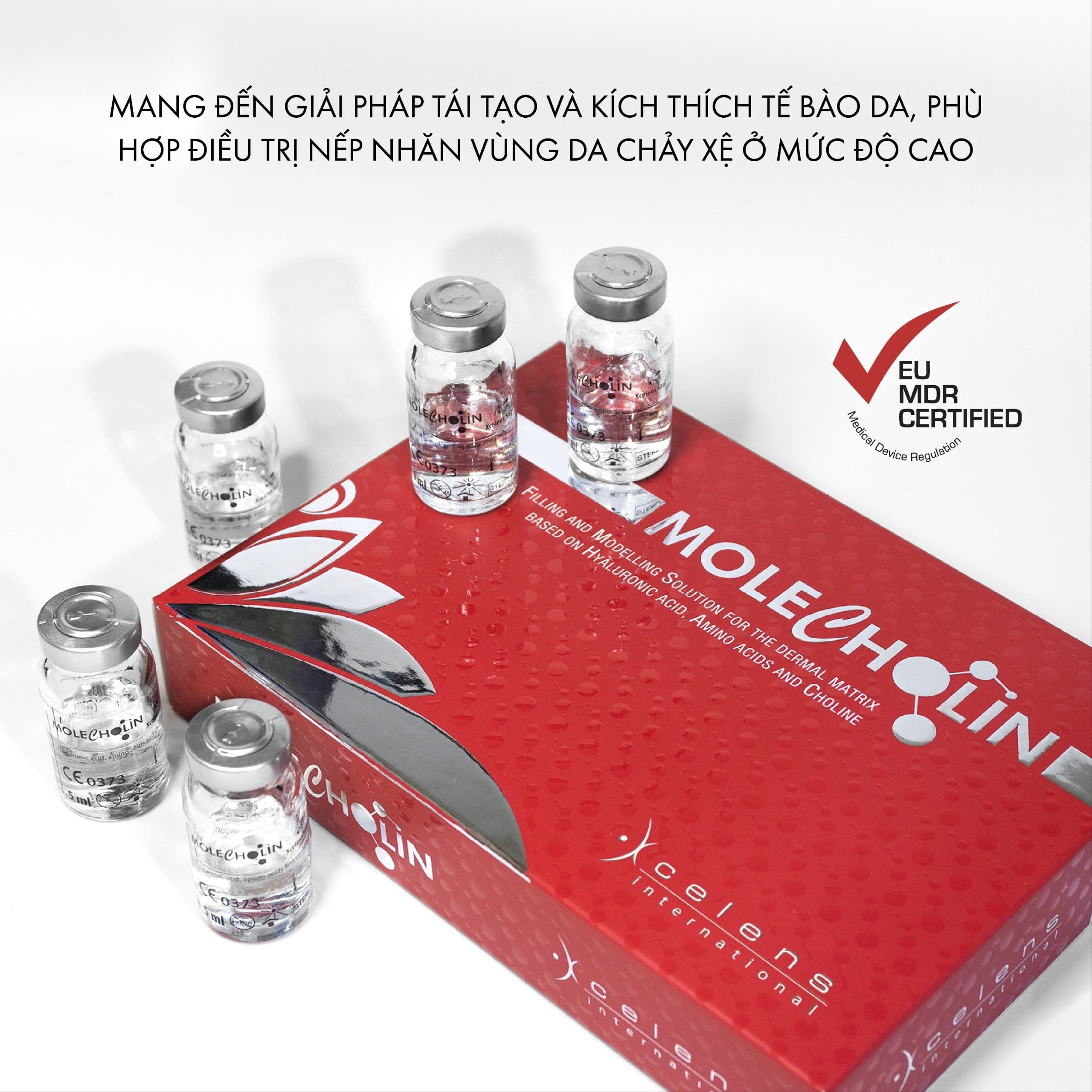 /storage/product/7/MOLECHOLIN-LS3-1.jpg