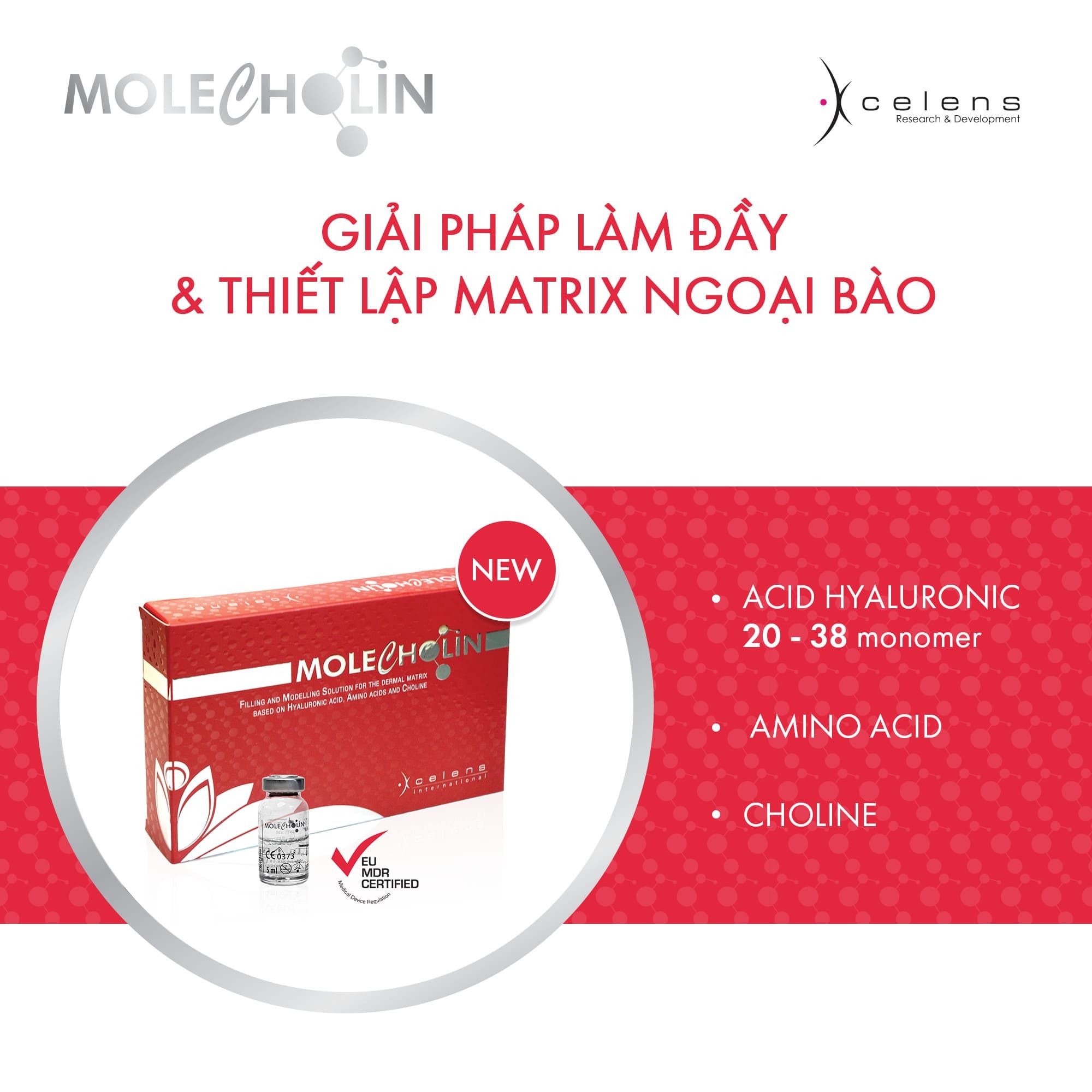 /storage/product/7/MOLECHOLIN-LS4-1.jpg