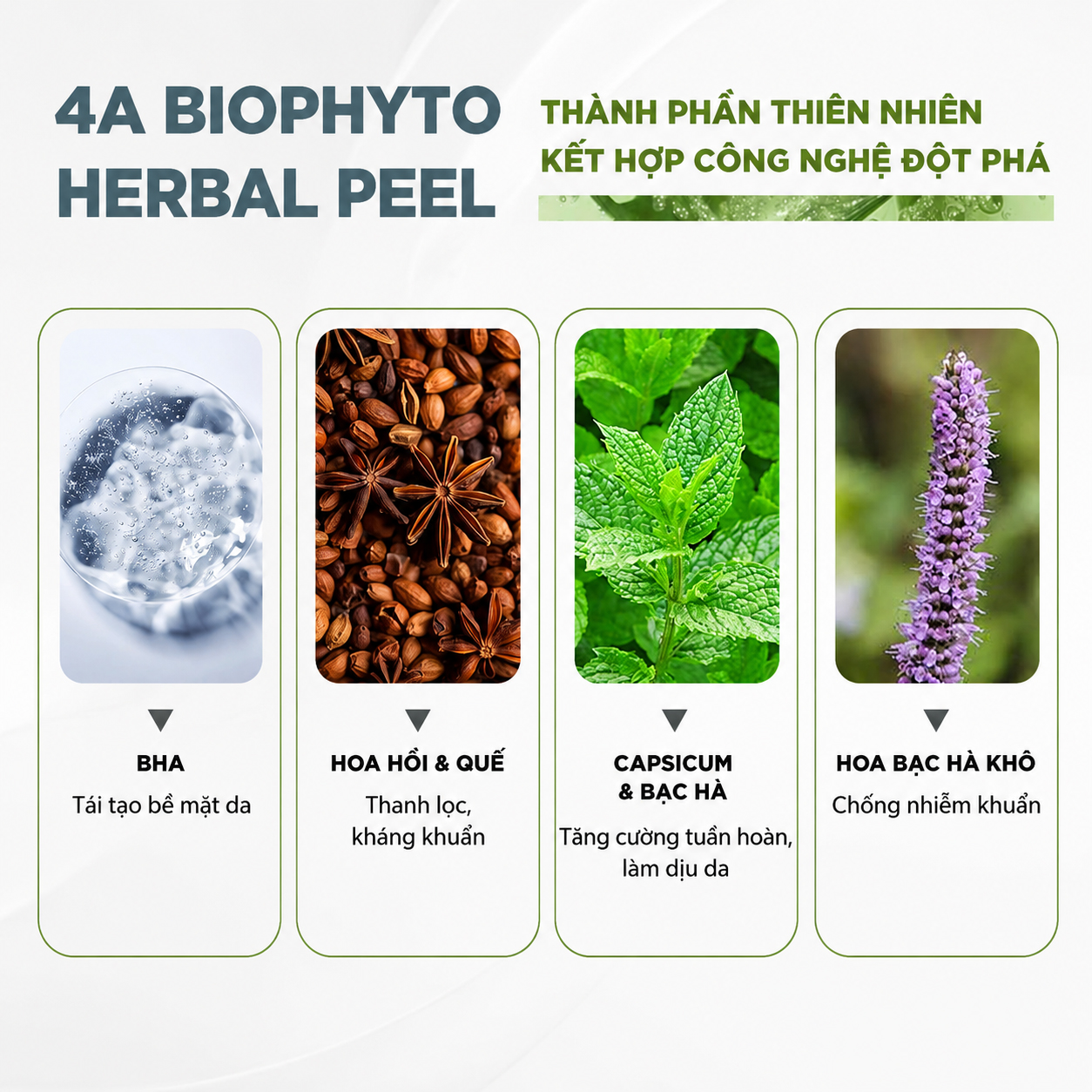 /storage/product/7/Thanh-phan-Peel-lam-sach-sau-bang-thao-duoc-Christina-BioPhyto-4A-Herbal-Peel.jpg