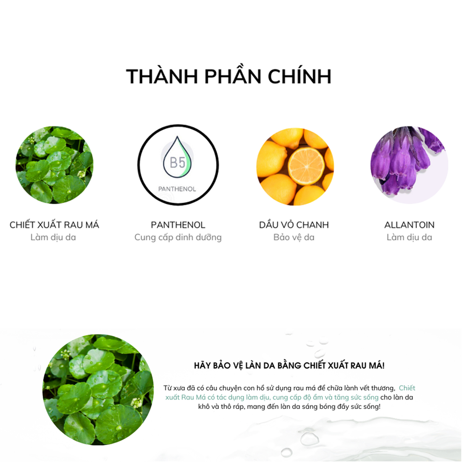 thanh-phan-chinh-AHOHWA-After-Solution-Inten-Cure-Perfect-Repair-Cream