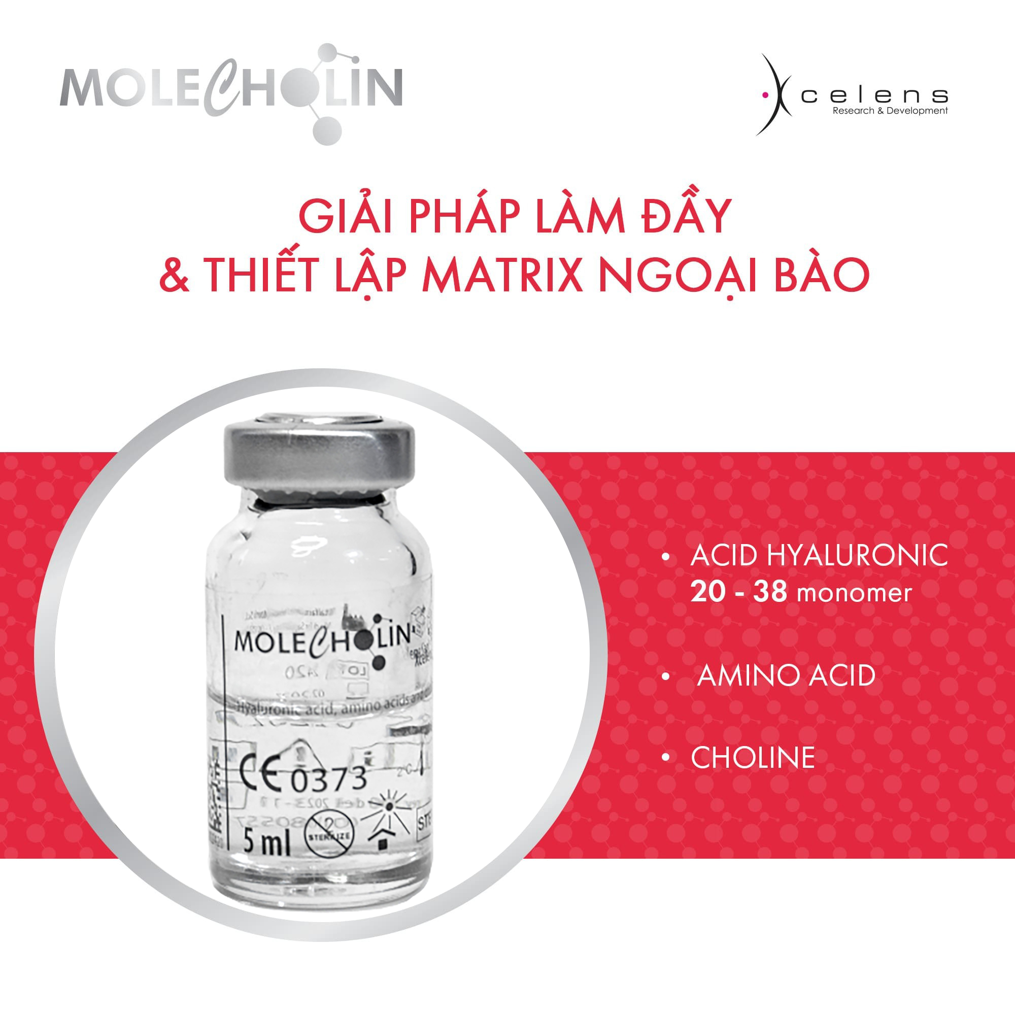 XCELENS Molecholin
